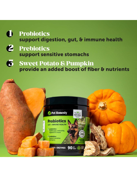 Probioticos para Perros Pet Honesty Pato 90 Golosinas