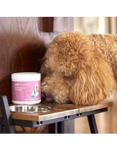 Fórmula Multivitamínica para Perros Market America 90 Porciones 2