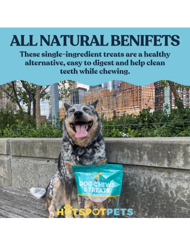 Golosinas para Perros Esófago de Res HotSpot Pets 0.45 kg