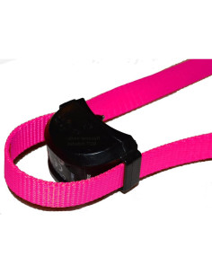 Correa de Nylon Sólido 19mm Sparky Pet Co Lavanda 2