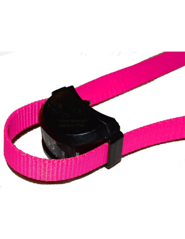 Correa de Nylon Sólido 19mm Sparky Pet Co Lavanda