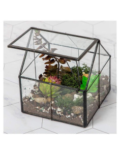 Terrario de Vidrio Ferrisland 10.9x10.9x12.7 cm para Suculentas