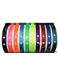 Collar de Nylon 3/4" CollarSafe Verde Lima 76,2 cm