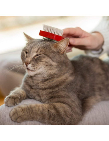 Champú Seco para Gatos Vet's Best - Espuma Sin Enjuague 113 g