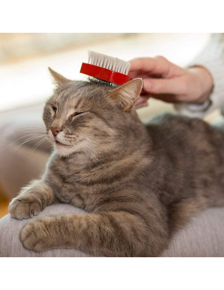 Champú Seco para Gatos Vet's Best - Espuma Sin Enjuague 113 g