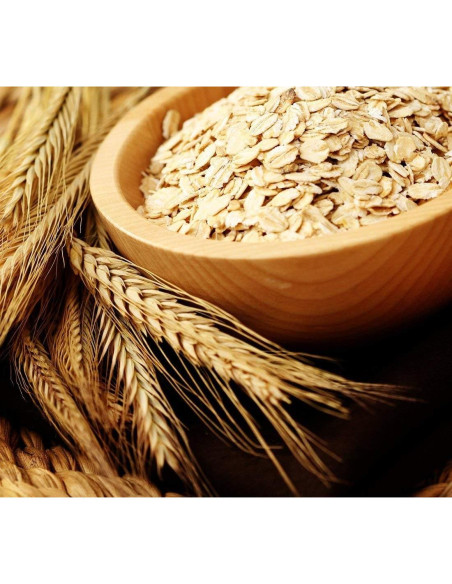 Champú Seco para Gatos Vet's Best - Espuma Sin Enjuague 113 g