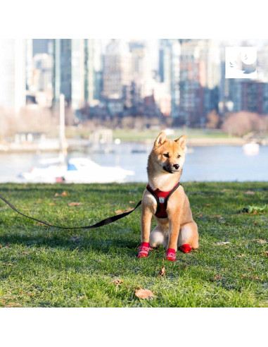 Arnés RC Pets Step In Cirque L Mulberry 24x12x5 cm