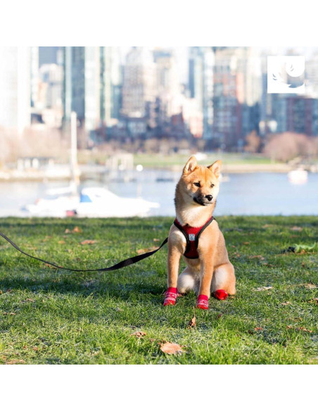 Arnés RC Pets Step In Cirque L Mulberry 24x12x5 cm