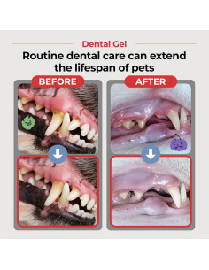 Gel Dental JAYU PET para Perros y Gatos 80 g - Cuidado Oral 2