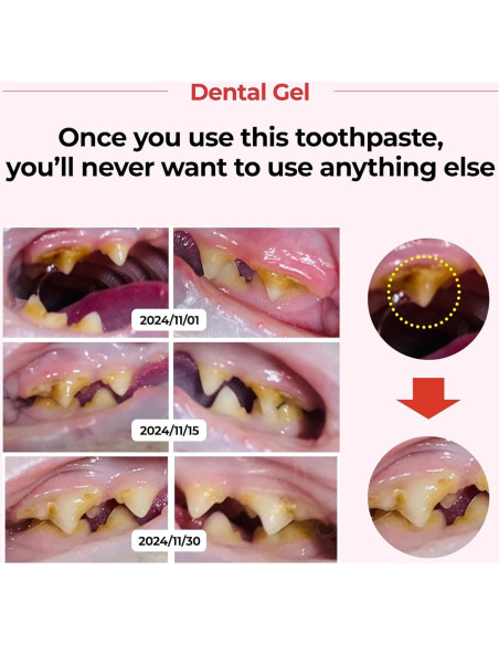 Gel Dental JAYU PET para Perros y Gatos 80 g - Cuidado Oral
