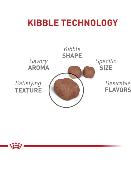 Royal Canin Cuidado Dental Comida Seca para Gatos 2.72 kg