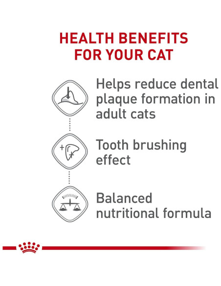 Royal Canin Cuidado Dental Comida Seca para Gatos 2.72 kg