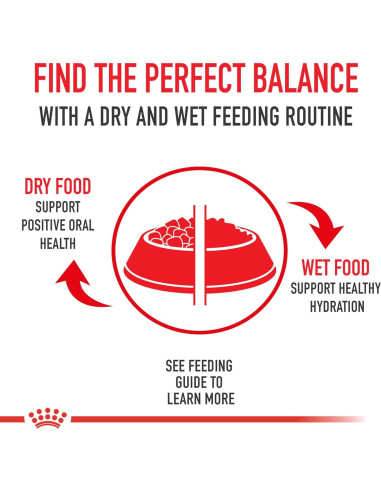 Royal Canin Cuidado Dental Comida Seca para Gatos 2.72 kg