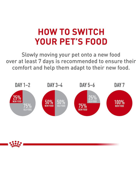 Royal Canin Cuidado Dental Comida Seca para Gatos 2.72 kg