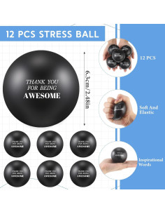 Lenwen 12 Pelotas de Estrés Motivacionales 6.3 cm Negro 2