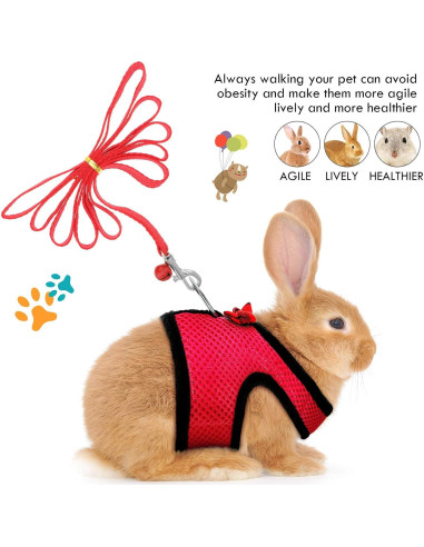 Arnés para Cobayas y Conejos SATINIOR con Correa y Campana S