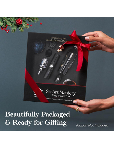 Juego de Sacacorchos Eléctrico SipArt Mastery 5 en 1