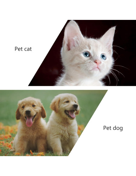 Dispensador de Golosinas Interactivo DOITOOL para Gatos Azul