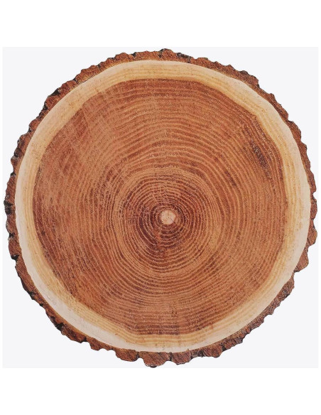 Bandejas Desechables Efavormart 33 cm Rodajas Madera 6 Piezas