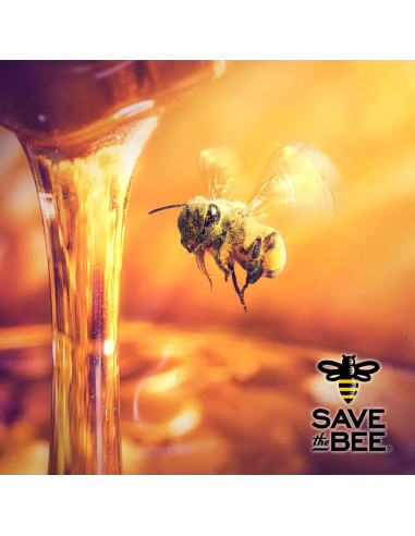 Miel Pura de Mezcla de Trébol GloryBee 2,27 kg Grado A