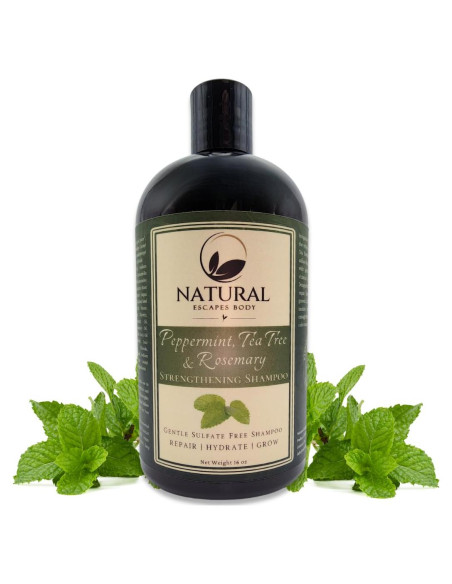 Champú natural sin sulfatos Natural Escapes 473 ml