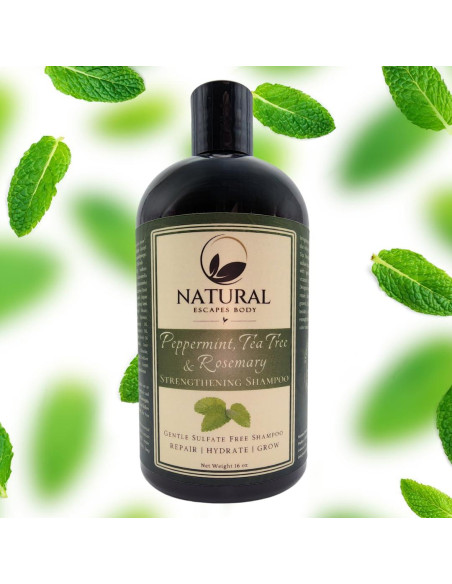 Champú natural sin sulfatos Natural Escapes 473 ml