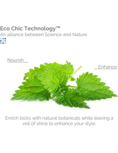 GIOVANNI Spray Brillo de los Tiempos 136ml Antifrizz 2