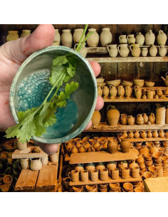 Tazón Deshojador de Hierbas Cerámica Hamblin Bros Verde 2