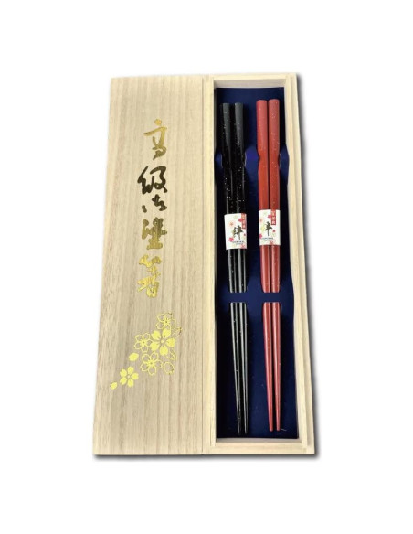 Palillos Japoneses Premium Terra 23 cm Reutilizables