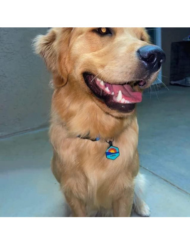 Etiqueta Silenciosa Personalizada PetANTastic Azul 5 Líneas