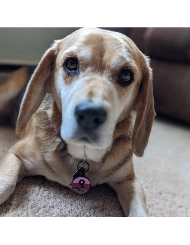 Etiqueta Silenciosa Personalizada PetANTastic Azul 5 Líneas