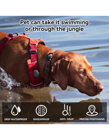 Soporte para Collar de Perro GOCII Airtag Impermeable 2 Pack