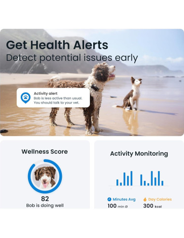 Rastreador GPS para Perros Tractive TG6A Negro - Monitoreo en Tiempo Real