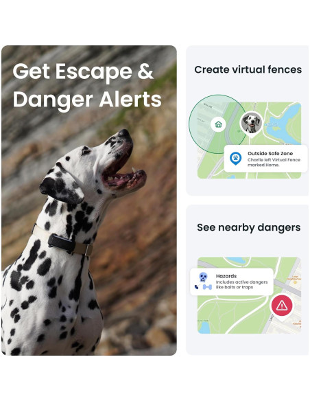 Rastreador GPS para Perros Tractive TG6A Negro - Monitoreo en Tiempo Real