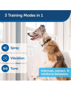 Collar de Entrenamiento Remoto PetSafe para 2 Perros - Spray, Tono y Vibración - Resistente al Agua 2