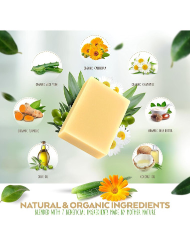 Barras de Jabón Aspen Kay Naturals 127g (6, Aloe Vera y Caléndula)