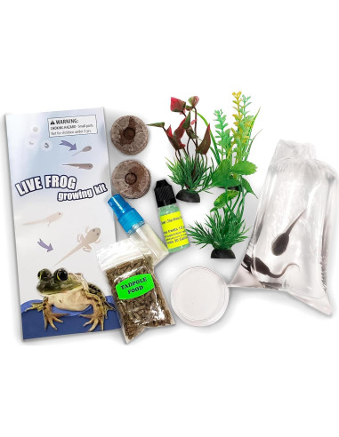 Kit de Renacuajos a Rana Nature Gift Store - Incluye 2 Renacuajos Vivos