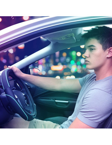 Cubierta de Volante de Cuero Car Pass 35-38 cm Negro y Menta