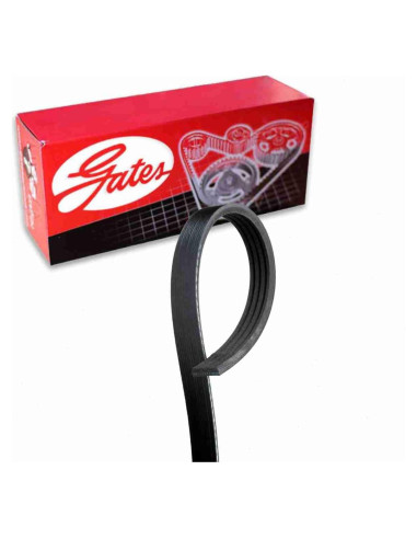 Correa Serpentina Micro-V Gates para Toyota Yaris 1.5L 2006-2012