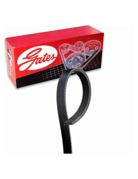 Correa Serpentina Micro-V Gates para Toyota Yaris 1.5L 2006-2012