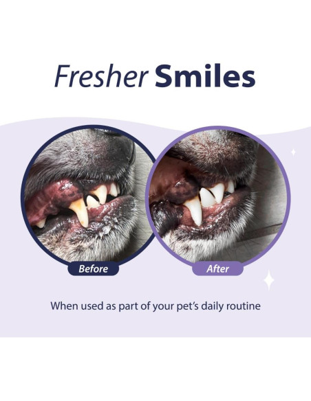 Aditivo Dental Fresh Avanzado para Perros y Gatos 226g
