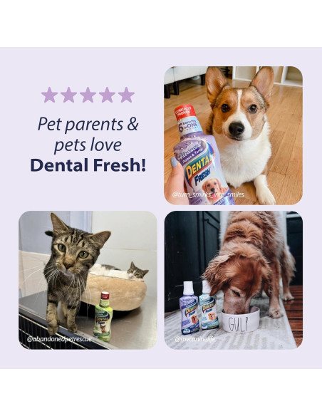 Aditivo Dental Fresh Avanzado para Perros y Gatos 226g