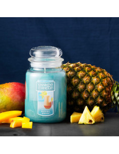 Vela Aromática Yankee Candle Bahama Breeze 623g Tarro Grande 2