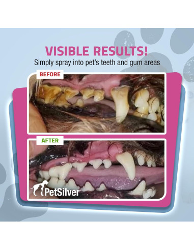 PetSilver Spray Dental para Perros y Gatos - 118 ml