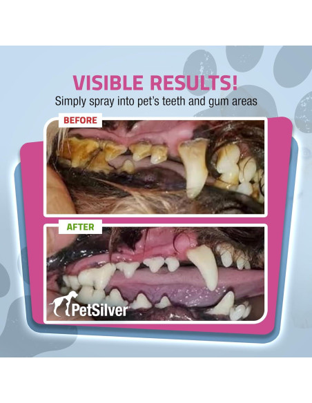 PetSilver Spray Dental para Perros y Gatos - 118 ml