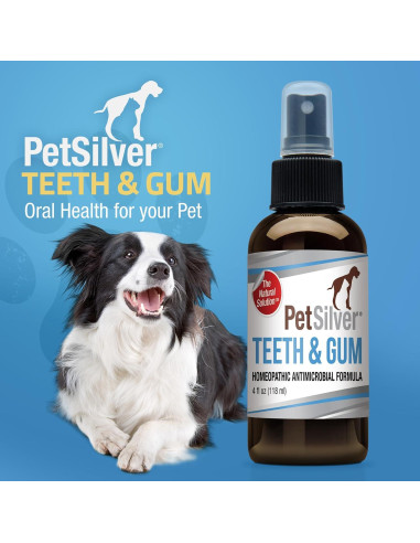 PetSilver Spray Dental para Perros y Gatos - 118 ml