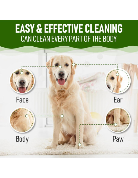 Toallitas para Perros Petazy 8 Unidades Aroma Lavanda