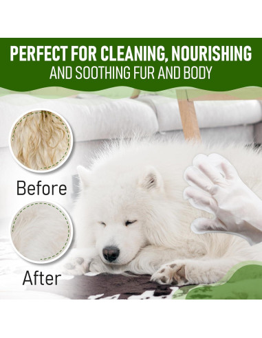 Toallitas para Perros Petazy 8 Unidades Aroma Lavanda