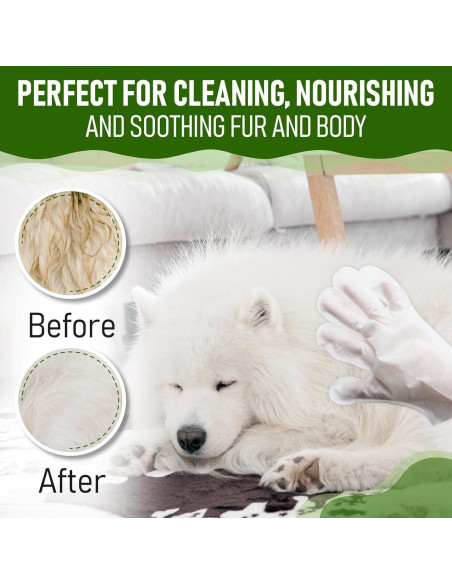 Toallitas para Perros Petazy 8 Unidades Aroma Lavanda