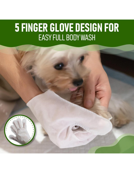 Toallitas para Perros Petazy 8 Unidades Aroma Lavanda